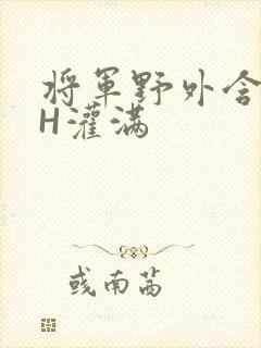 将军野外含公主H灌满