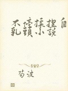 不停揉捏自己的乳头小说