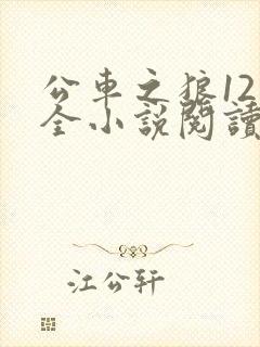 公车之狼12集全小说阅读