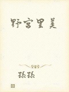 野宫里美封面