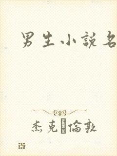 男生小说名字封面