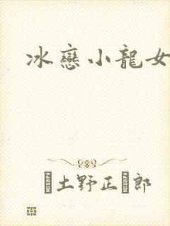 冰恋小龙女封面
