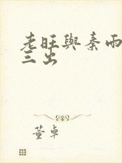 老旺与秦雨三进三出