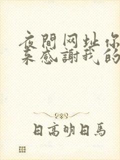 夜间网址你会回来感谢我的