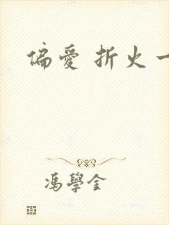 偏爱 折火一夏封面