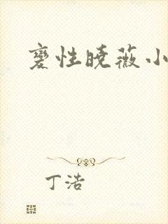 变性晓薇小说封面