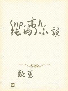 (np,高h,纯肉)小说封面