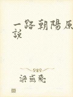 一路朝阳原著小说
