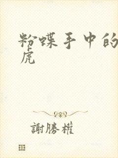 粉蝶手中的纸老虎