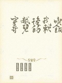 穿越后我吃到了哥儿的软饭炉山灰封面