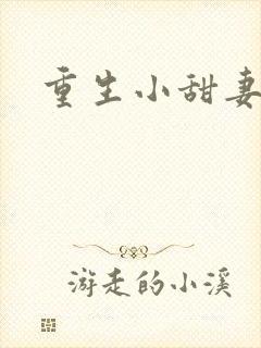 重生小甜妻封面