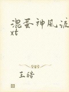 混蛋神风流史txt