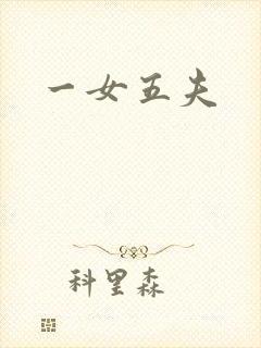 一女五夫封面