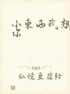 小东西我想弄坏你封面