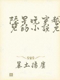 陆星晚穿越成婴儿的小说免费阅读全文封面