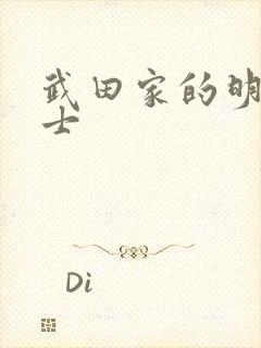 武田家的明国武士