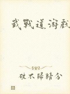 武战道游戏