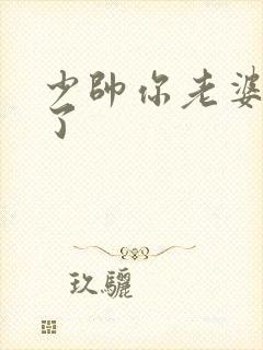 少帅你老婆又跑了