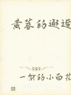 黄蓉的邂逅封面