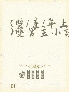 (双/产/年上)双男主小说