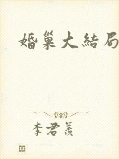 婚巢大结局封面