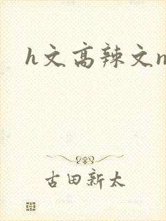 h文高辣文np