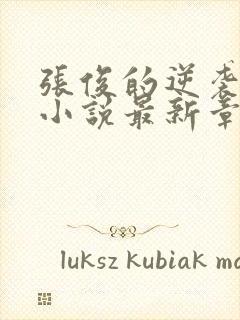 张俊的逆袭之路小说最新章节