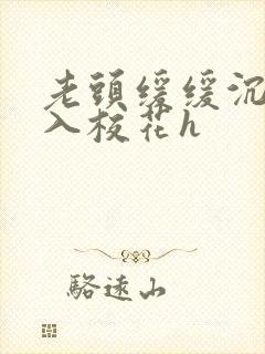 老头缓缓沉腰进入校花h封面