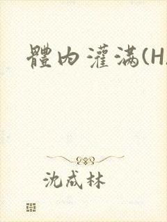 体内灌满(H)封面