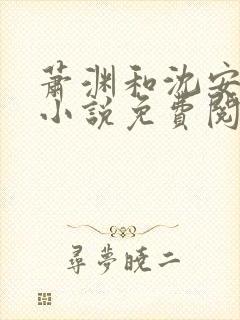 萧渊和沈安安的小说免费阅读