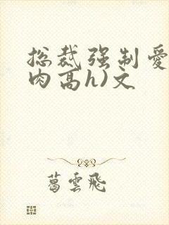 总裁强制爱(巨肉高h)文