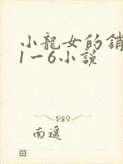小龙女的销魂夜1一6小说封面
