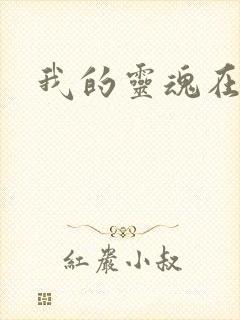 我的灵魂在古代封面