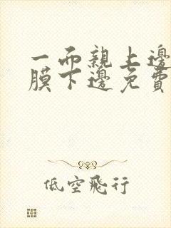 一面亲上边一面膜下边免费阅读