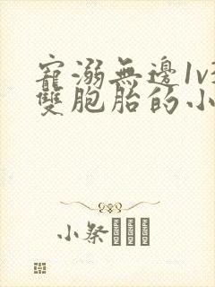 宠溺无边1v3双胞胎的小说