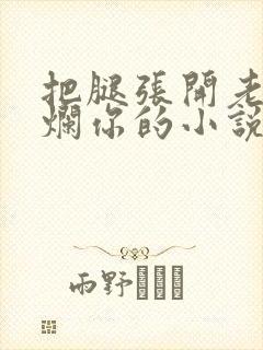 把腿张开老子臊烂你的小说