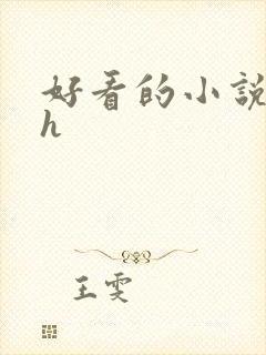 好看的小说言情h