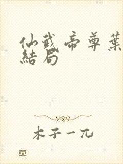 仙武帝尊叶辰的结局封面