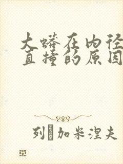 大蟒在内径横冲直撞的原因封面