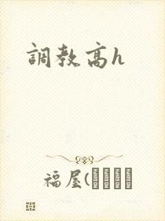 调教高h