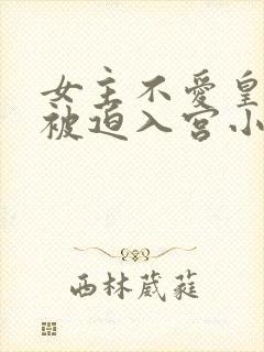 女主不爱皇帝却被迫入宫小说