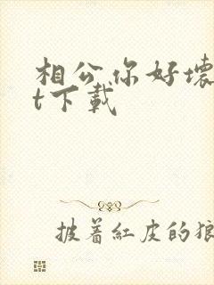 相公你好坏txt下载
