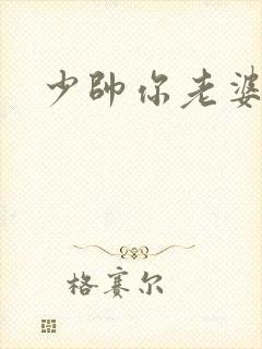 少帅你老婆封面