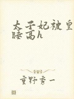 太子妃被皇上强睡高h