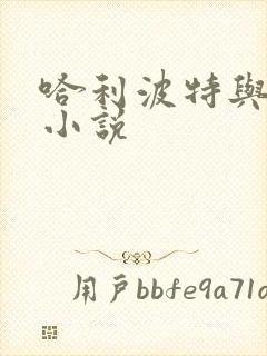 哈利波特与密室小说