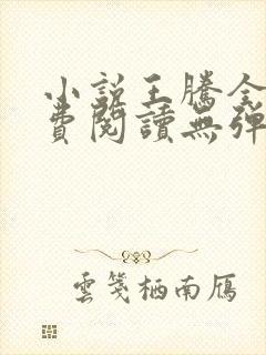 小说王腾全文免费阅读无弹窗