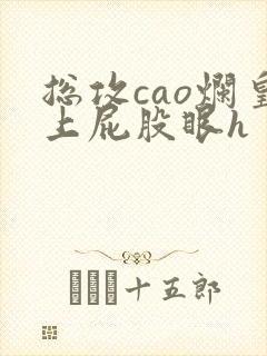 总攻cao烂皇上屁股眼h