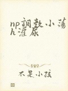 np调教小荡货h灌尿封面