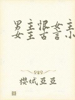 男主恨女主报复女主古言小说封面