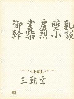 御书房双乳晃动干柴烈小说封面